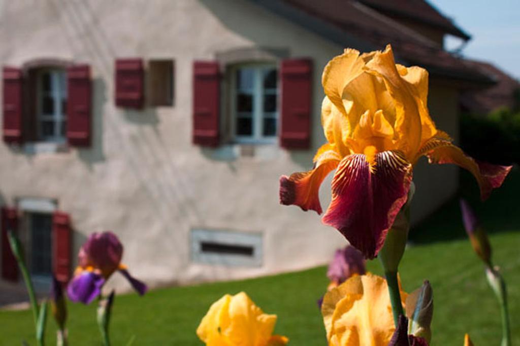 La Belle Saison Bed & Breakfast Mollens  Екстериор снимка